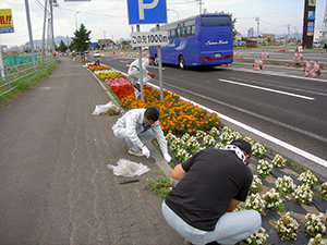 はこだて花かいどう　函館新道植栽活動