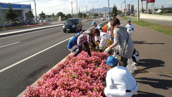 はこだて花かいどう　函館新道植栽活動