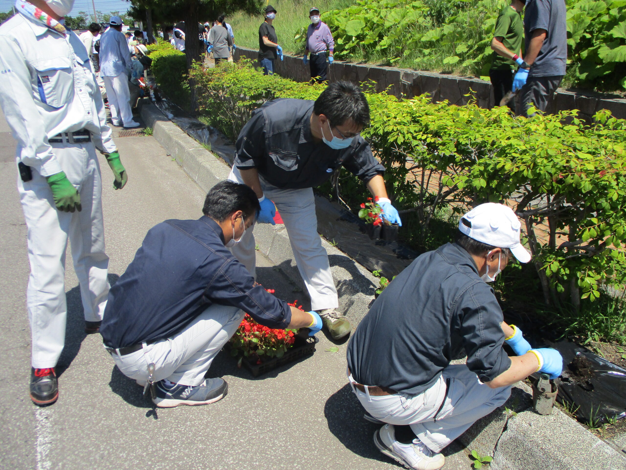 函館ウェルカム・ロードの会　植栽活動