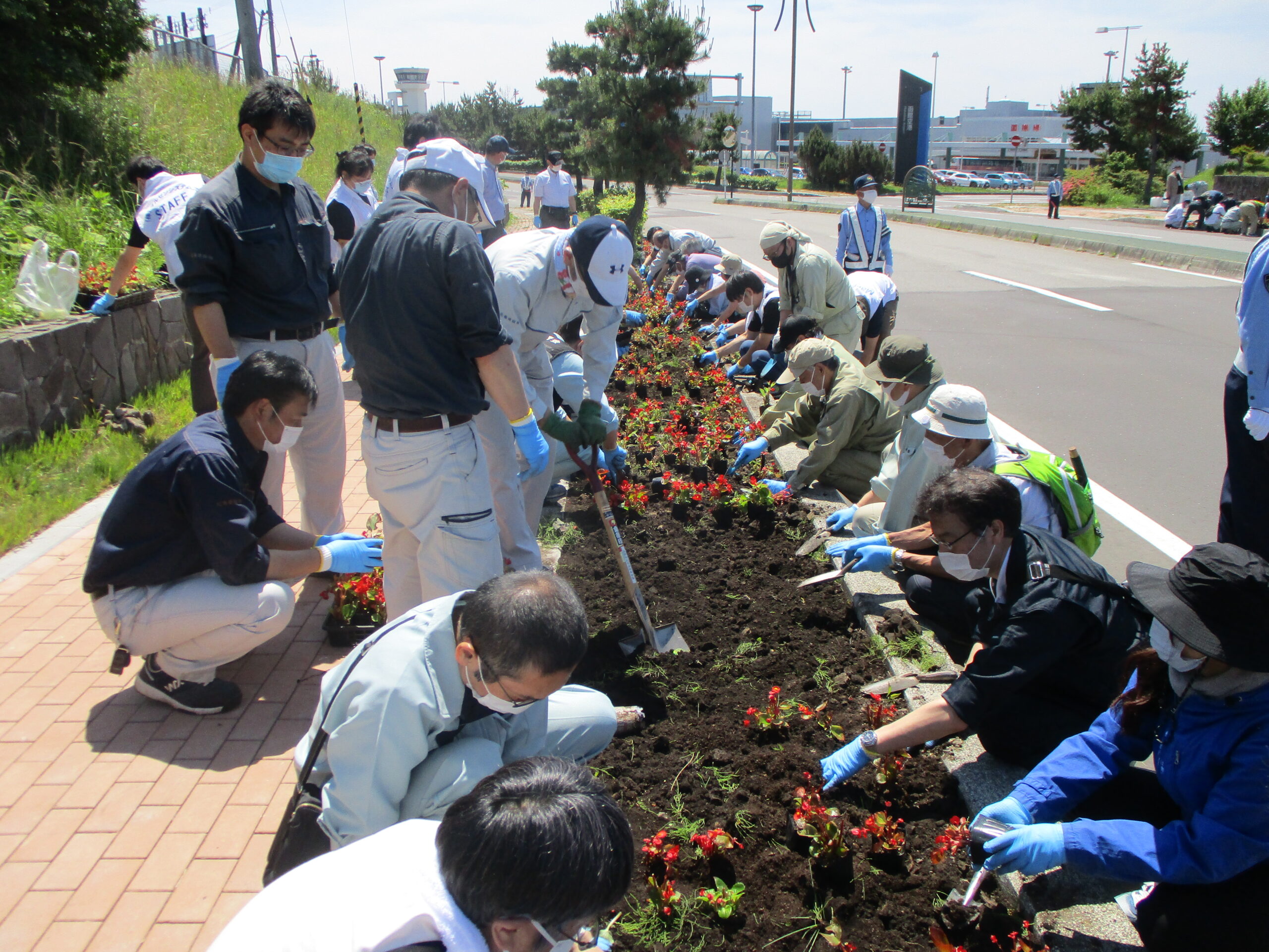 函館ウェルカム・ロードの会　植栽活動