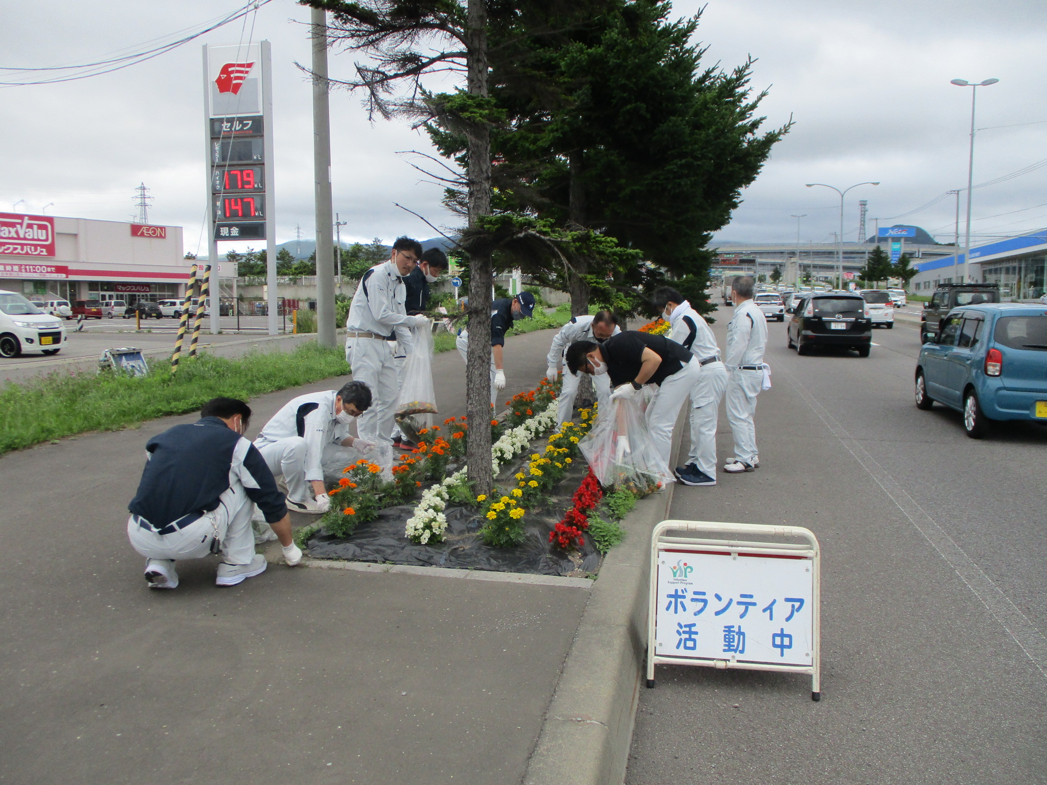 令和4年7月9日(土)はこだて花かいどう　函館新道植栽活動(7月)