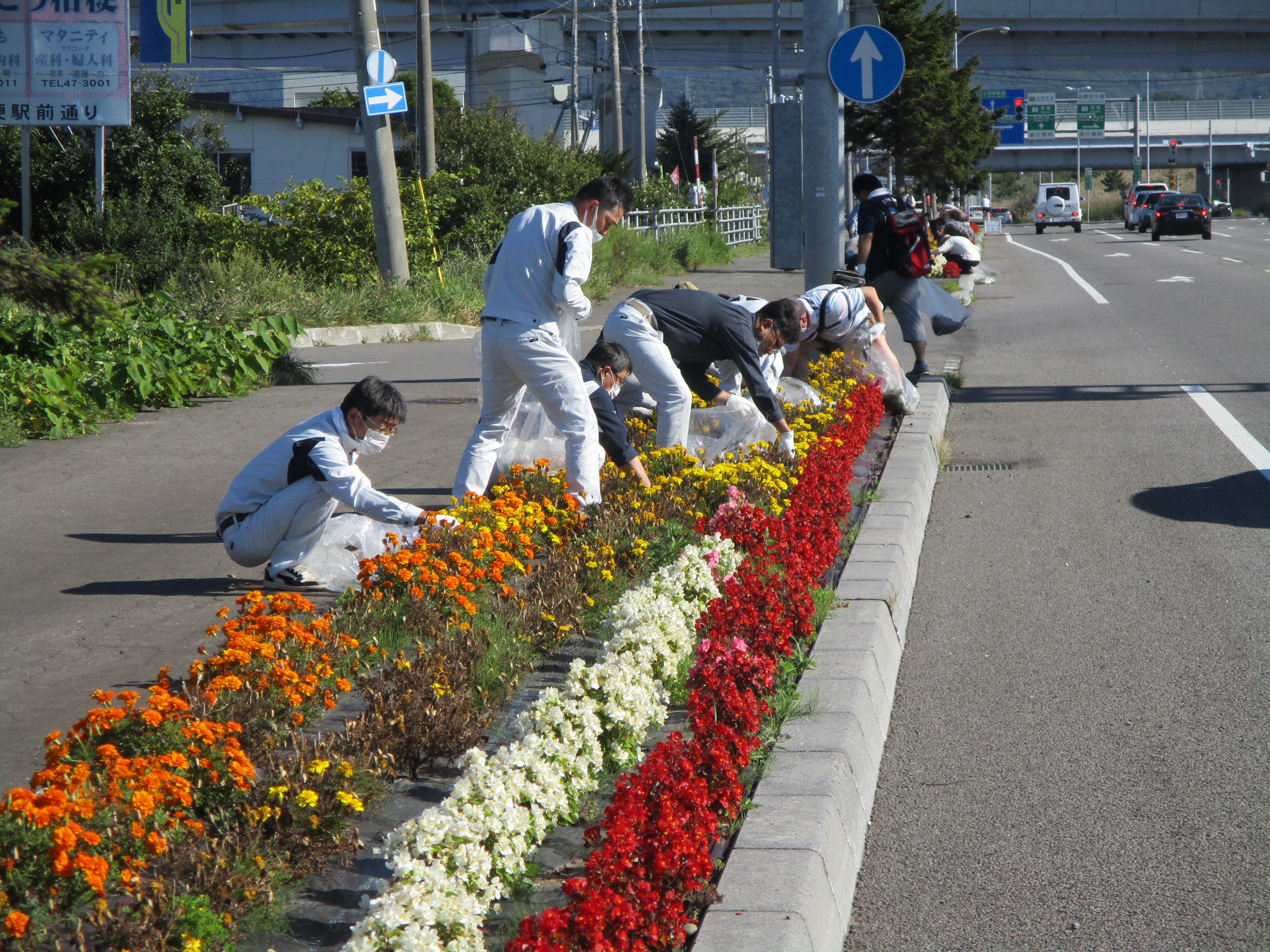 令和4年9月10日(土)はこだて花かいどう　函館新道植栽活動(9月)